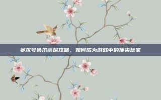 赛尔号鲁尔蒂尼攻略，如何成为游戏中的顶尖玩家