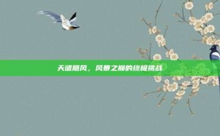 天谴飓风，风暴之巅的终极挑战