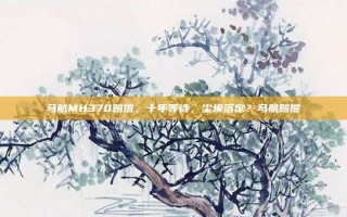 马航MH370赔偿，十年等待，尘埃落定？马航赔偿