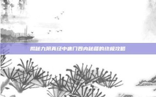 揭秘九阴真经中唐门四内秘籍的终极攻略