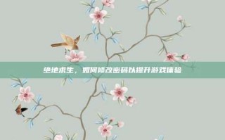 绝地求生，如何修改密码以提升游戏体验