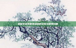 揭秘夺宝传世激活码的获取与使用攻略
