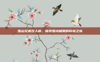 雪山兄弟双人版，探索雪域极限的冒险之旅