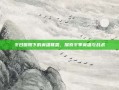 冬日暖阳下的英雄联盟，探索冬季英雄与战术