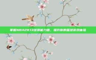 掌握NBA2K13球员能力值，提升你的篮球游戏体验