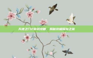 天地之门2游戏攻略，揭秘终极探险之旅