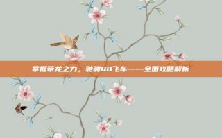 掌握帝龙之力，驰骋QQ飞车——全面攻略解析