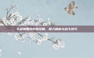 斗战神黑风小妖攻略，深入解析与战斗技巧