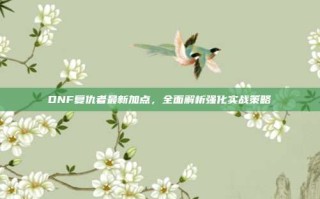 DNF复仇者最新加点，全面解析强化实战策略