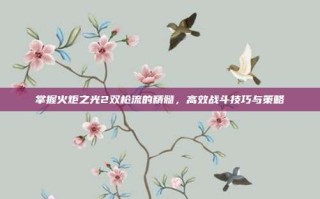 掌握火炬之光2双枪流的精髓，高效战斗技巧与策略