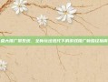 盛大推广员系统，全新玩法迭代下的游戏推广新路径指南