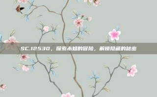 SC.12530，探索未知的冒险，解锁隐藏的秘密