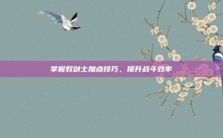掌握奴剑士加点技巧，提升战斗效率