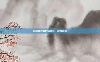 科林麦克雷的尘埃2，终极指南