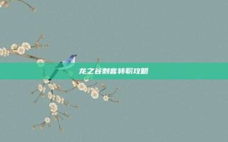 龙之谷刺客转职攻略