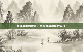 掌握流星蝴蝶剑，终极大招秘籍大公开！