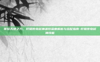 掌控天地之力，轩辕传奇弑神魂技深度解析与搭配指南-轩辕传奇弑神技能