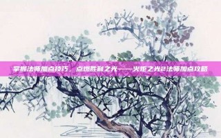 掌握法师加点技巧，点燃胜利之光——火炬之光2法师加点攻略