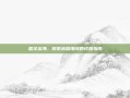 雷龙出海，探索未知海域的终极指南