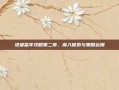 绝望监牢攻略第二章，深入探索与策略运用