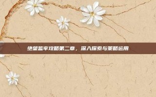 绝望监牢攻略第二章，深入探索与策略运用