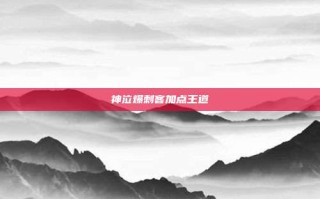 神泣爆刺客加点王道