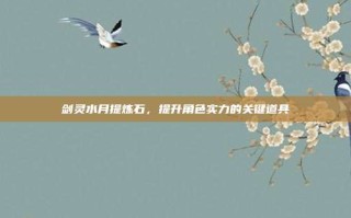 剑灵水月提炼石，提升角色实力的关键道具