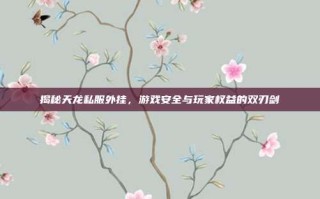 揭秘天龙私服外挂，游戏安全与玩家权益的双刃剑