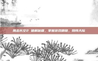 鹰击长空2 破解秘籍，掌握游戏精髓，翱翔天际