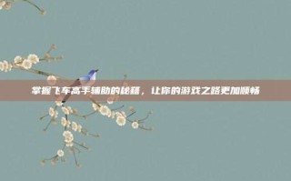 掌握飞车高手辅助的秘籍，让你的游戏之路更加顺畅