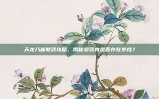 天龙八部游戏攻略，揭秘游戏内是否存在外挂？