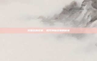 狄瑞吉的纹章，揭开神秘纹章的秘密