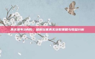 真实赛车3内购，破解玩家真实获取策略与收益分析