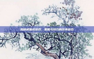 揭秘贰面虎游戏，策略与技巧的完美结合