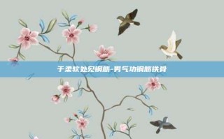 于柔软处见钢筋-男气功钢筋铁骨
