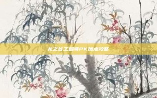 龙之谷工程师PK加点攻略