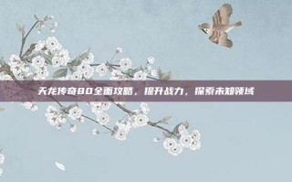 天龙传奇80全面攻略，提升战力，探索未知领域