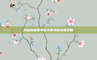 揭秘魔兽世界泥水副本的终极攻略