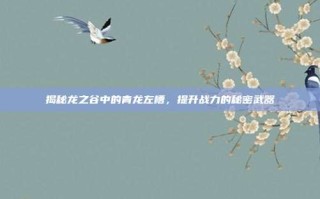 揭秘龙之谷中的青龙左槽，提升战力的秘密武器