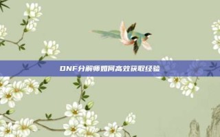 DNF分解师如何高效获取经验