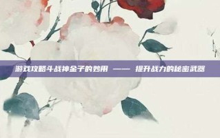 游戏攻略斗战神金子的妙用 —— 提升战力的秘密武器