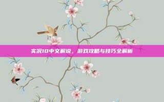 实况10中文解说，游戏攻略与技巧全解析