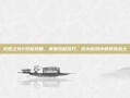 火炬之光2双枪攻略，掌握双枪技巧，成为游戏中的传奇战士