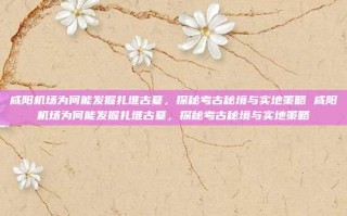 咸阳机场为何能发掘扎堆古墓，探秘考古秘境与实地策略 咸阳机场为何能发掘扎堆古墓，探秘考古秘境与实地策略