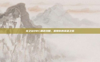 龙之谷DWC角色攻略，解锁你的英雄之路