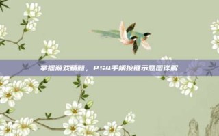 掌握游戏精髓，PS4手柄按键示意图详解