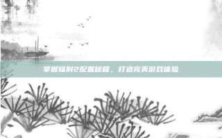 掌握辐射2配置秘籍，打造完美游戏体验