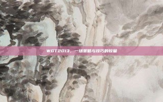 WGT2013，一场策略与技巧的较量