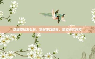 热血棒球怎么玩，掌握游戏精髓，体验真实竞技