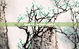黑暗普埃塔，深入探索与攻略指南